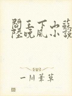 阎王下山苏文,陆晚风小说