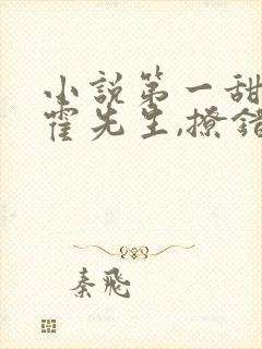 小说第一甜妻:霍先生,撩错了免费阅读