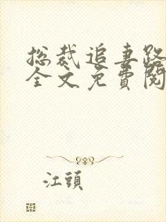 总裁追妻路漫漫全文免费阅读封面