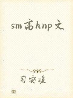 sm高hnp文