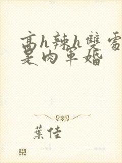 高h辣h双处全是肉军婚