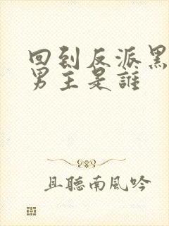 回到反派黑化前男主是谁