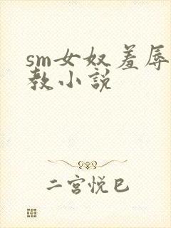 sm女奴羞辱调教小说