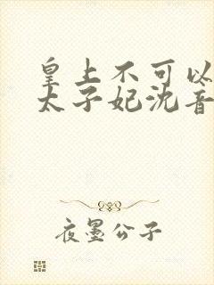 皇上不可以我是太子妃沈音小说免费阅读封面