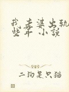 我老婆出轨的那些年 小说