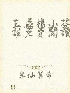 王磊杨小芬的小说免费阅读全文最新章节