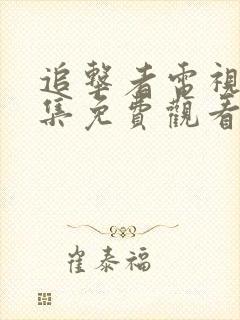 追击者电视剧全集免费观看高清