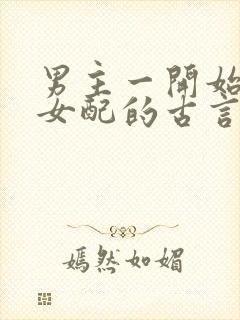 男主一开始喜欢女配的古言