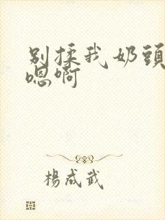 别揉我奶头嗯啊嗯啊