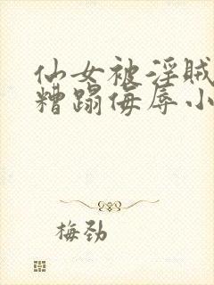 仙女被淫贼强行糟蹋侮辱小说情节