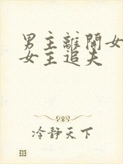 男主离开女主,女主追夫封面