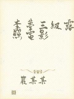 李梦三级露全乳照电影