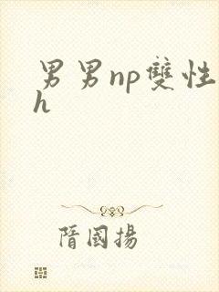 男男np双性高h