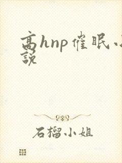 高hnp催眠小说