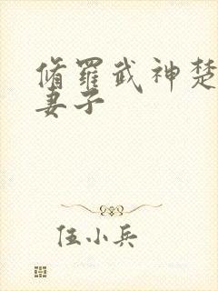 修罗武神楚枫的妻子封面