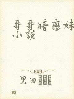 哥哥暗恋妹妹的小说封面