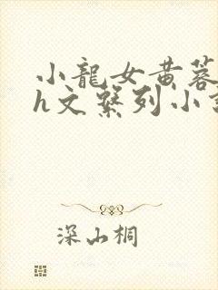 小龙女黄蓉高辣h文系列小说介绍