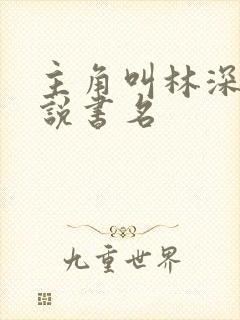 主角叫林深的小说书名