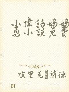 小伟的妈妈陈人勇小说免费阅读封面