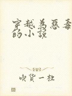 穿越为恶毒女配的小说