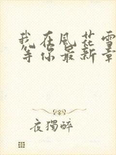 我在风花雪月里等你最新章节