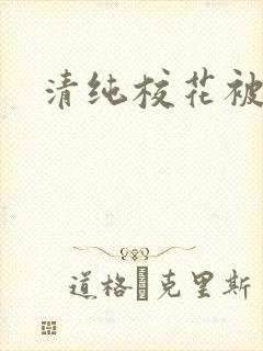 清纯校花被迫h封面