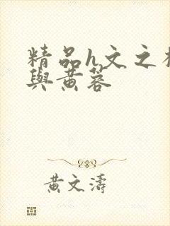 精品h文之杨过与黄蓉