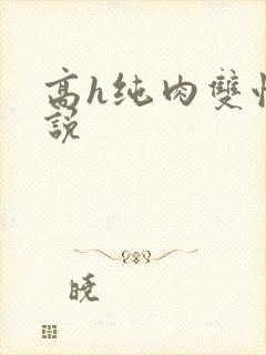 高h纯肉双性小说封面