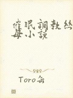 催眠调教丝袜美母小说