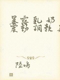 暴露 乳 奶 震动 调教 夹