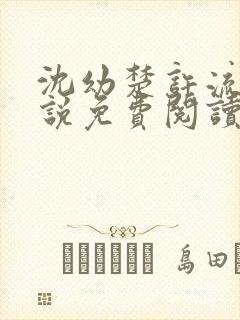 沈幼楚许流年小说免费阅读最新章节封面