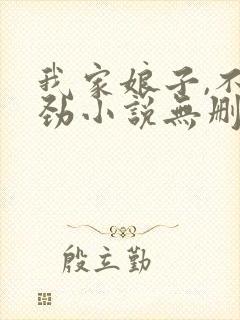 我家娘子,不对劲小说无删减版