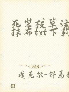 死装校草活该被抹布txt下载封面