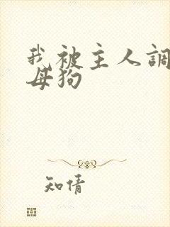 我被主人调教成母狗