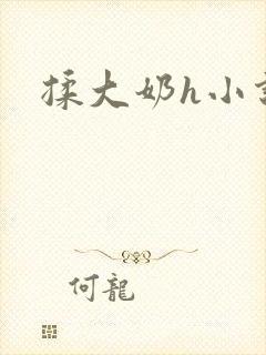 揉大奶h小说封面