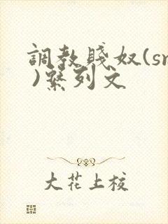 调教贱奴(sm )系列文