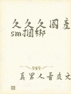 久久久国产调教sm捆绑