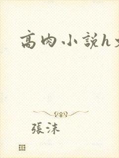 高肉小说h文封面