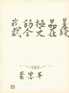 我的极品美女总裁全文在线阅读封面