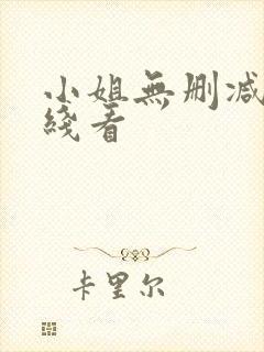 小姐无删减版在线看