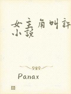 女主角叫许晴的小说