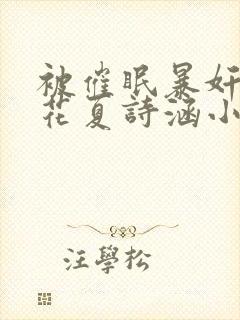 被催眠暴奸的校花夏诗涵小说