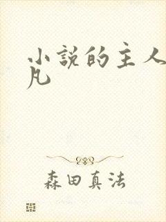 小说的主人公林凡封面