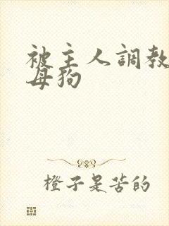 被主人调教的小母狗