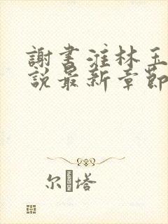 谢书淮林玉禾小说最新章节封面