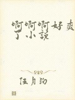 啊啊啊好爽高潮了小说