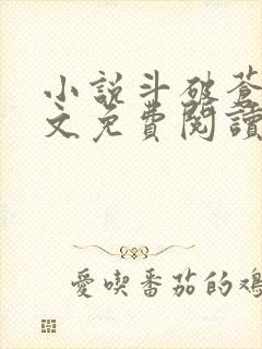 小说斗破苍穹全文免费阅读笔趣阁