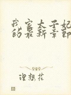 我家太子妃超凶的最新章节