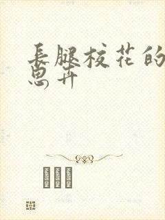 长腿校花的呻吟思卉