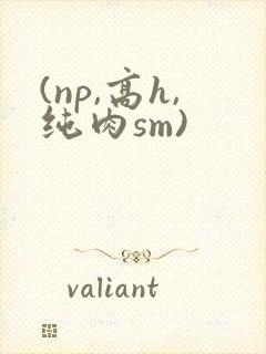 (np,高h,纯肉sm)